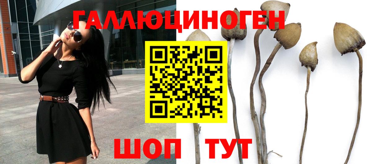 Псилоцибиновые грибы ЛСД Набережные Челны